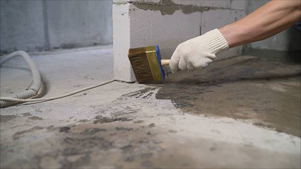 24/7 Emergency Waterproofing experts in Hampton, SC